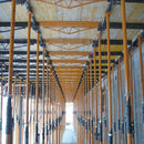 Puntal telescópicos